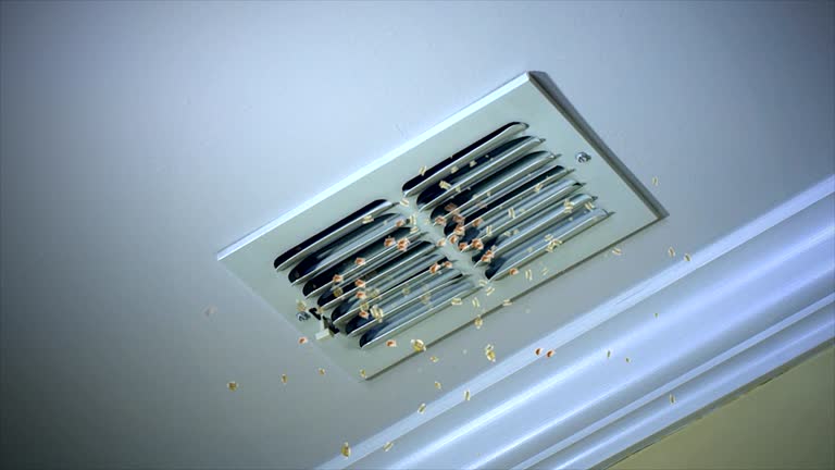 Best Professional Duct Cleaning Services  in Monmouth Junction, NJ